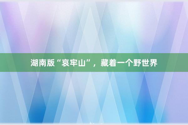 湖南版“哀牢山”，藏着一个野世界