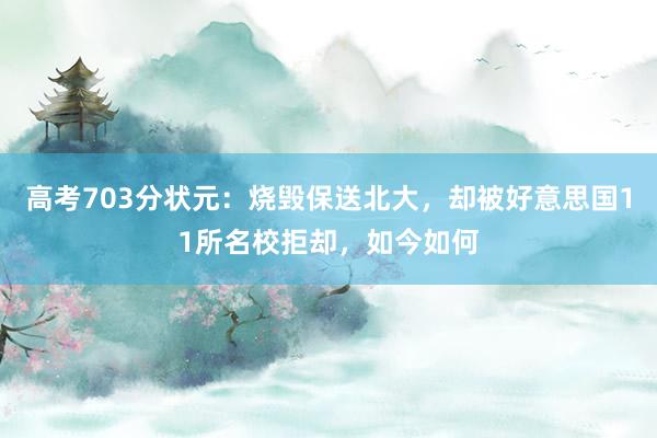 高考703分状元：烧毁保送北大，却被好意思国11所名校拒却，如今如何